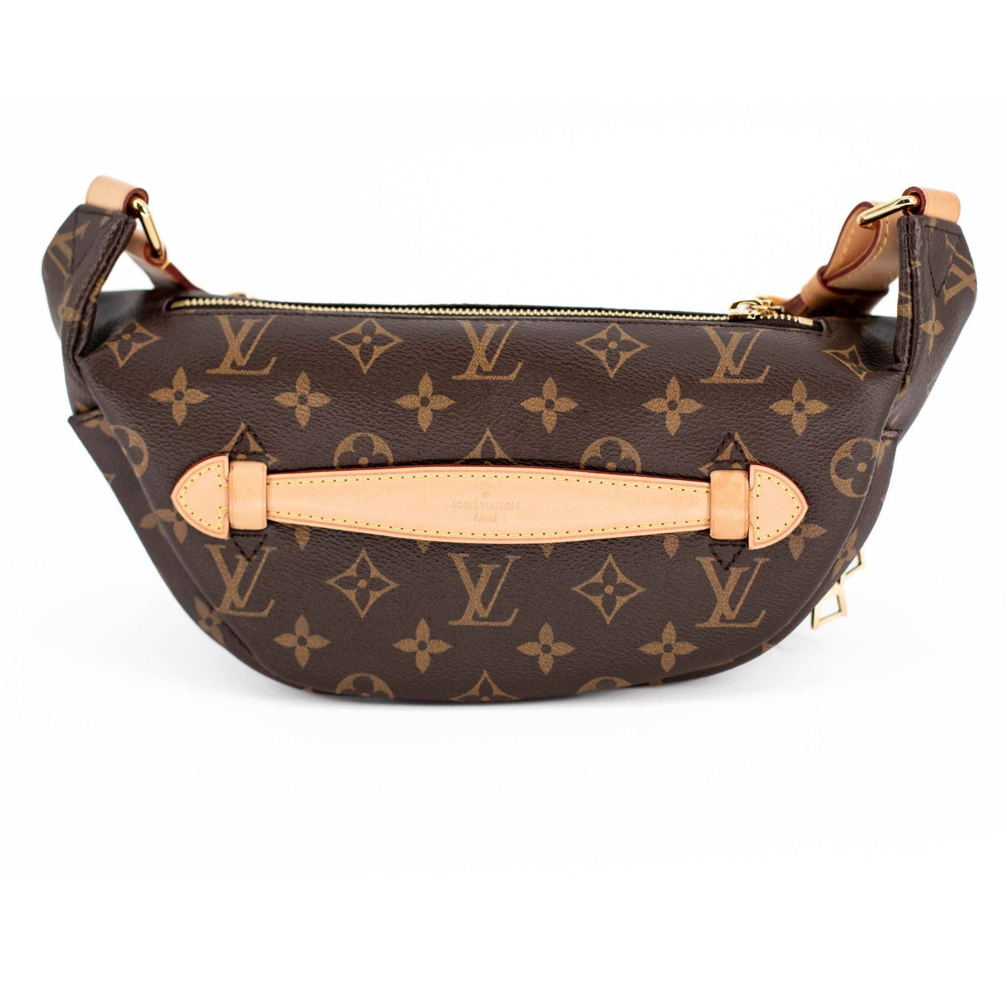 Louis Vuitton Monogram Bumbag