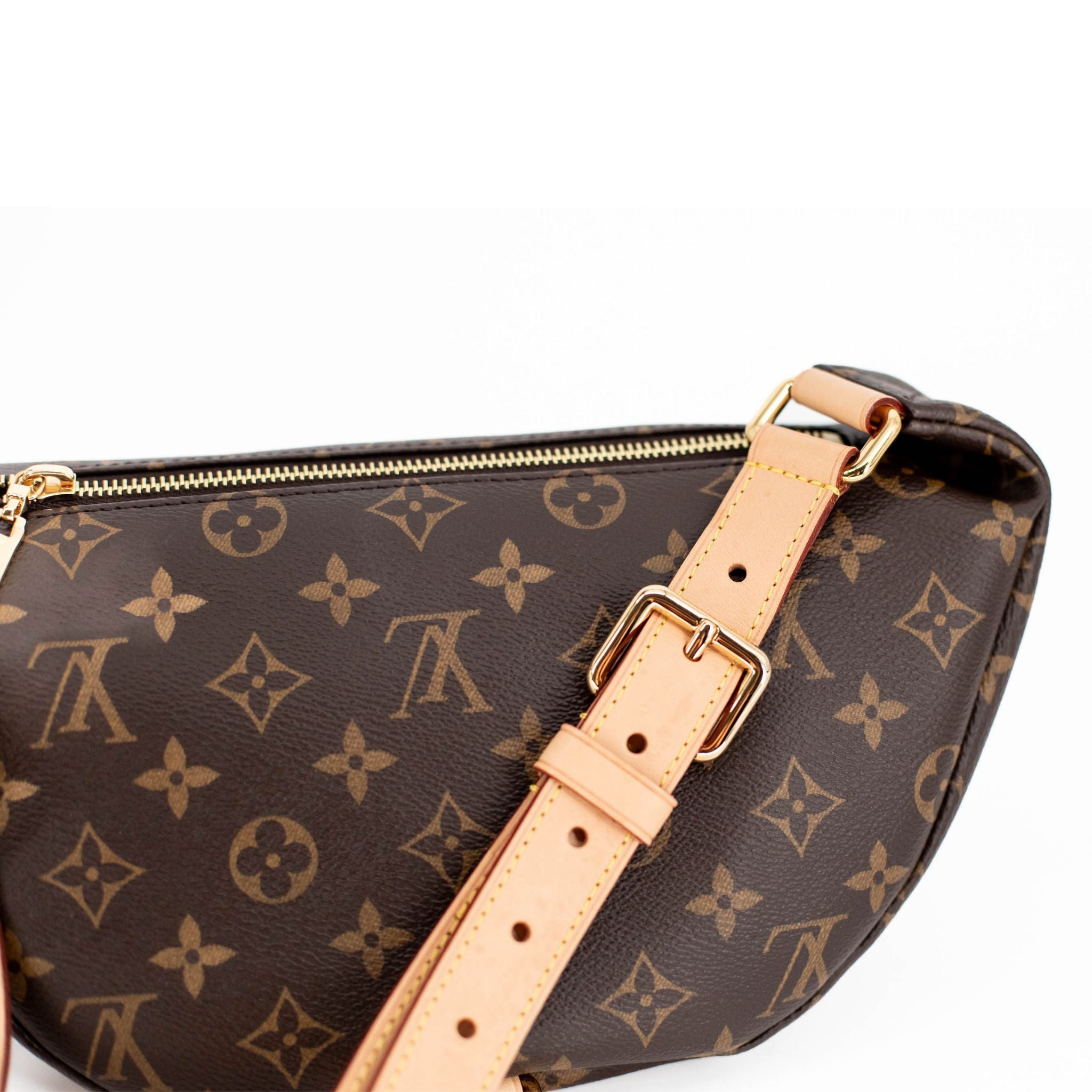 Louis Vuitton Monogram Bumbag