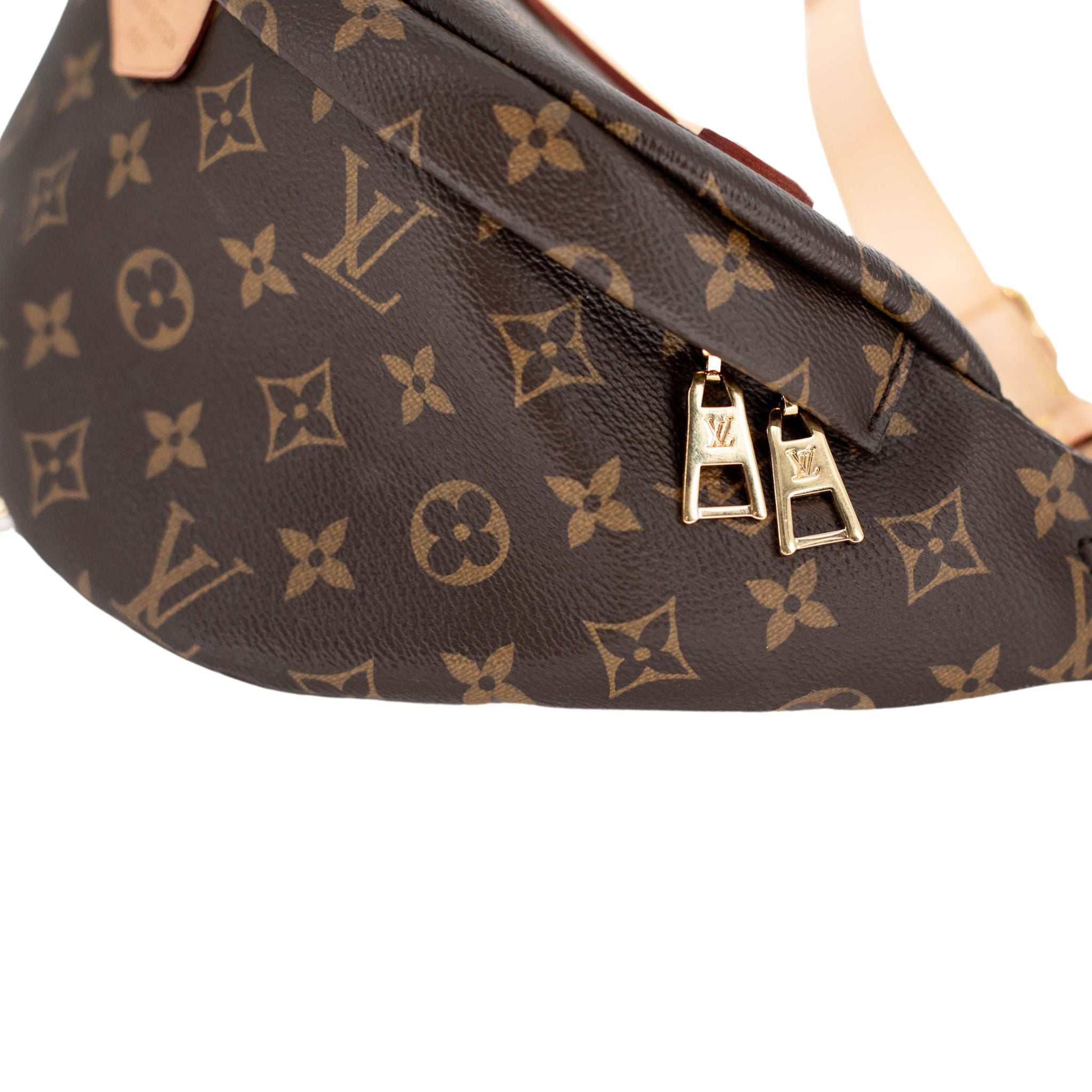 Louis Vuitton Monogram Bumbag