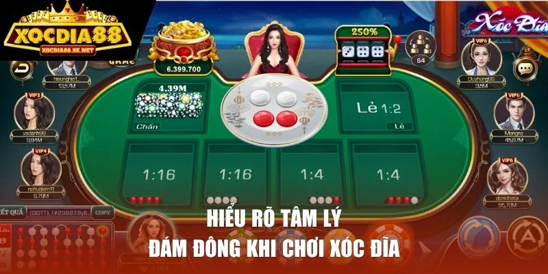 Hiểu rõ tâm lý đám đông khi chơi xóc đĩa